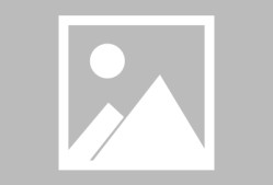 爱游戏娱乐 - 乒乓球季后赛，闽南海豚队与钱塘铁骑队逆转，体能对抗拉满！技战术储备厚实